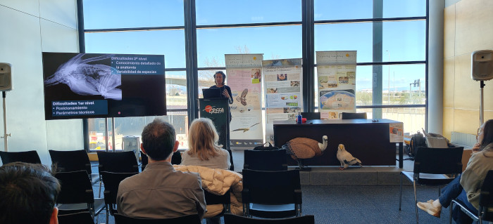 Otro momento de la parte del congreso centrada en repasar la trayectoria de GREFA.