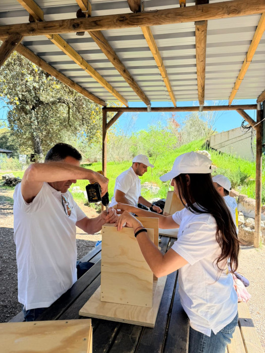 Empleados de Elanta participan en las instalaciones de GREFA en un taller de cajas nidos para pequeñas rapaces consumidoras de topillos.