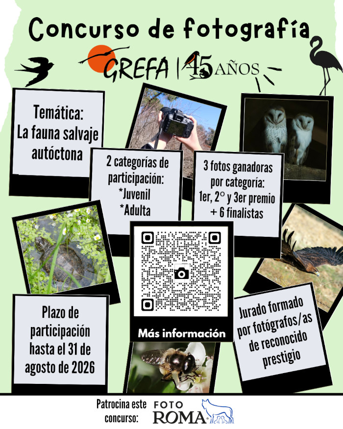 concurso fotos