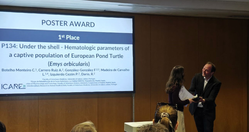 Catarina Rebelo recibió el premio por la mejor comunicación tipo póster en el congreso ICARE.