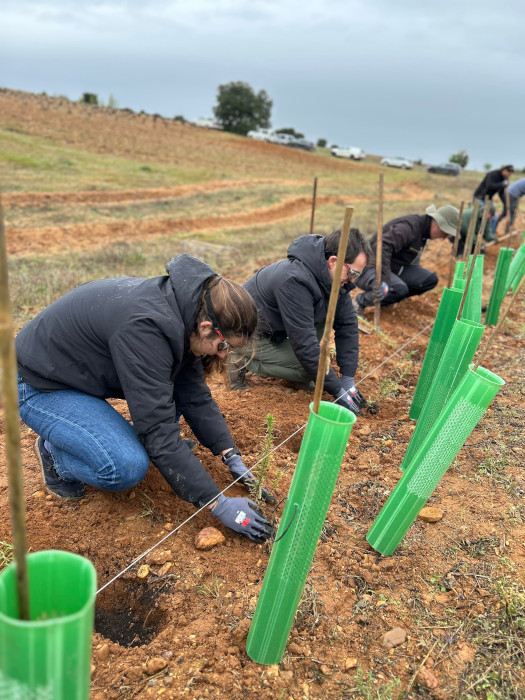 Participantes en la jornada durante la plantación de setos naturales.