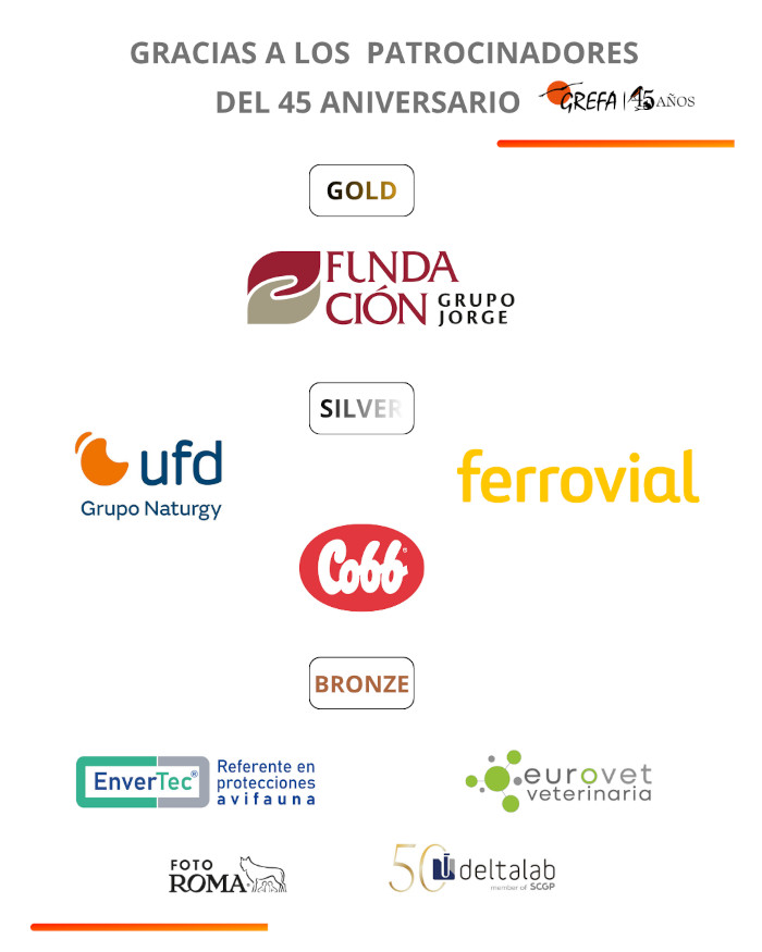 patrocinadores45a