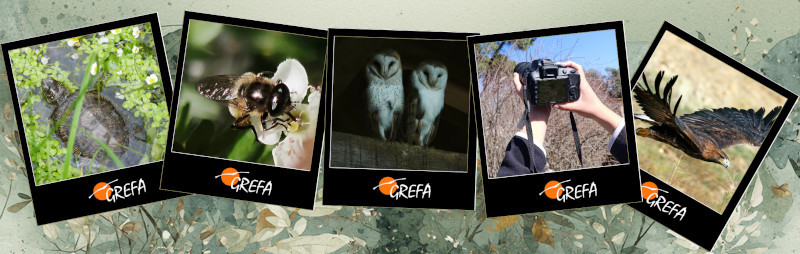 Concurso de fotografía.