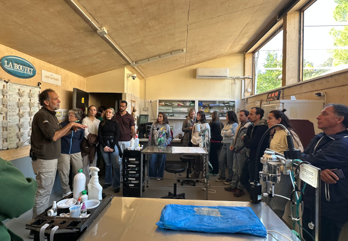 Visita al hospital de Fauna Silvestre de GREFA.