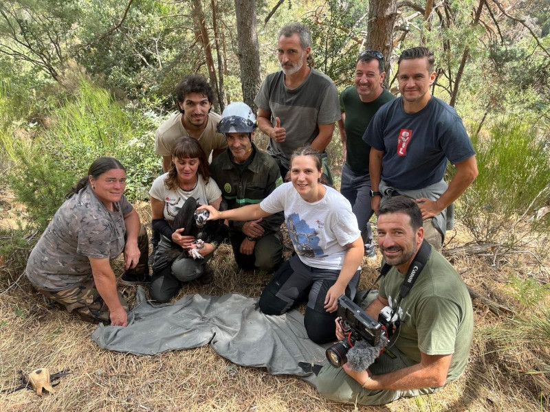 Equipo técnico de GREFA tras el marcaje de pollos de buitre negro.
