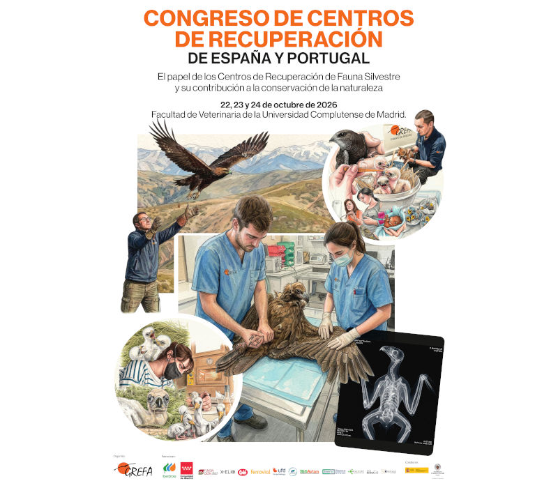 Congreso centros de recuperación de fauna