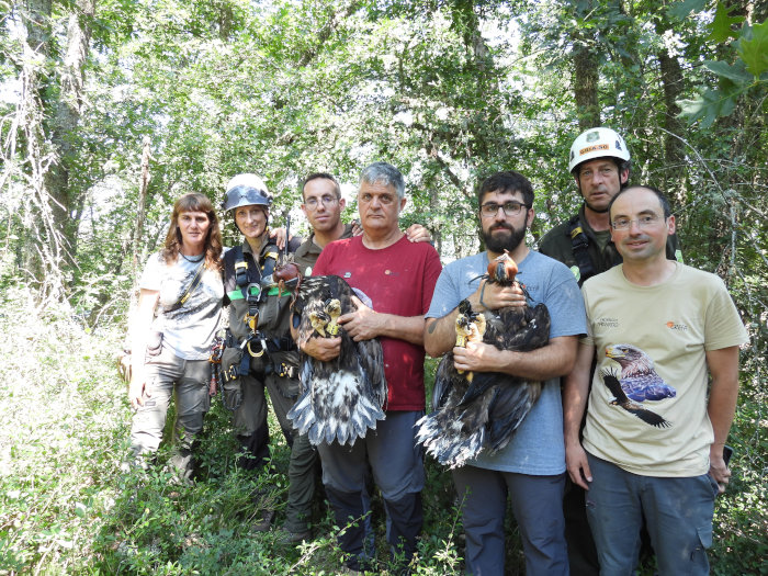 Foto de grupo de los participantes en el reciente marcaje con emisor GPS de los dos pigargos nacidos en el mismo nido.