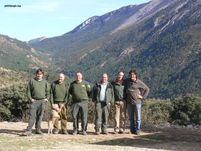 Reintroducción del Buitre Negro en el Pre-pirineo Catalán