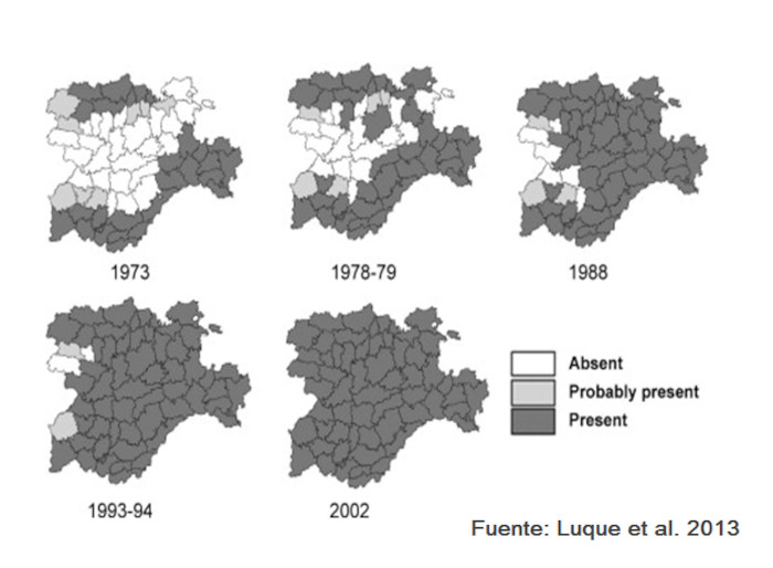 Reconstrucción de la colonización a partir de fuentes científicas y de los “Atlas de Mamíferos Terrestres de España” (para los años 1973, 1978-79, 1988, 1993-94 y 2002 a nivel de comarca agraria)