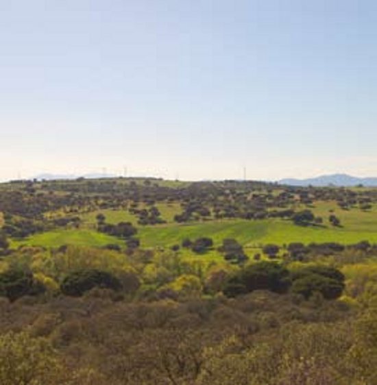 El Parque Regional del Guadarrama es un claro ejemplo de la importancia de los espacios protegidos para salvaguardar la biodiversidad.