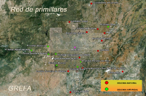 Figura 2. Mapa de red de primillares con las colonias naturales y artificiales de la comunidad de Madrid en el 2010.